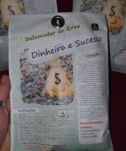 SHUMERIO DINHEIRO E SUCCESSO